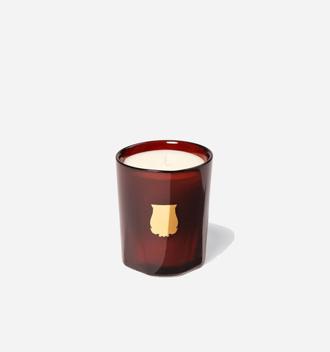 Cire Trudon Candle in Cire