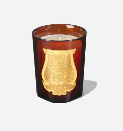 Cire Trudon Candle in Cire