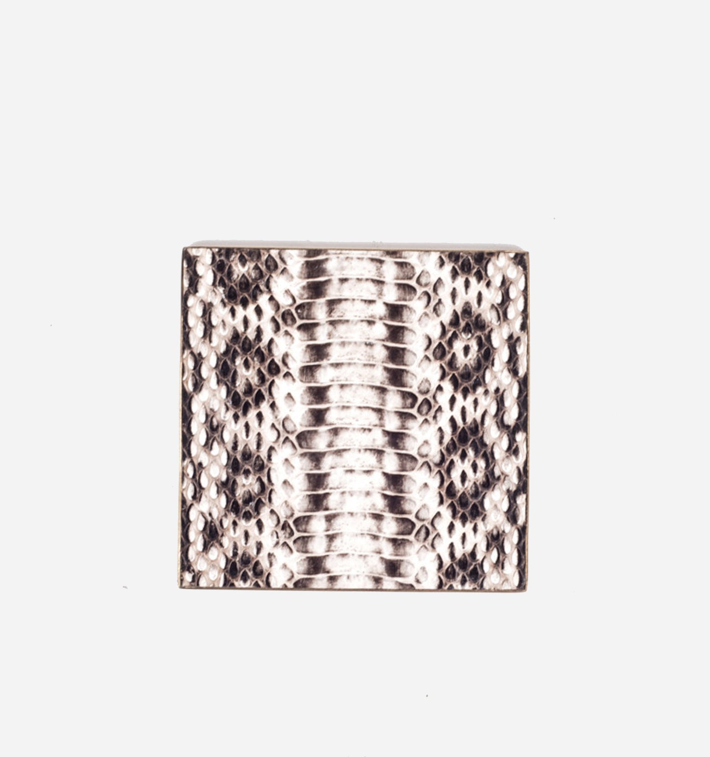 Snake Skin Coaster