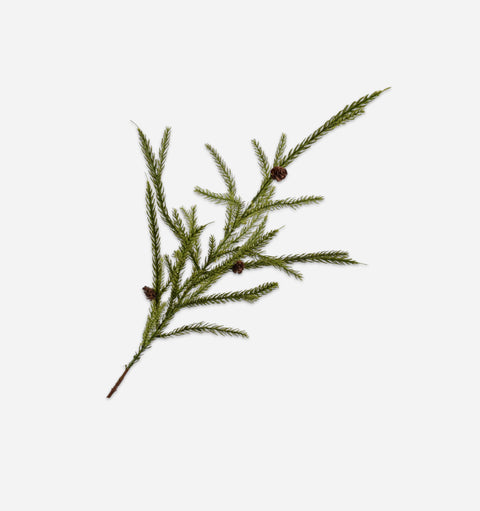 Coniferous Pine Spray