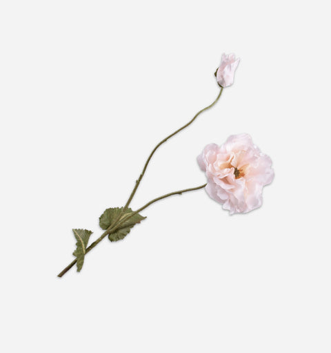 Poppy Stem