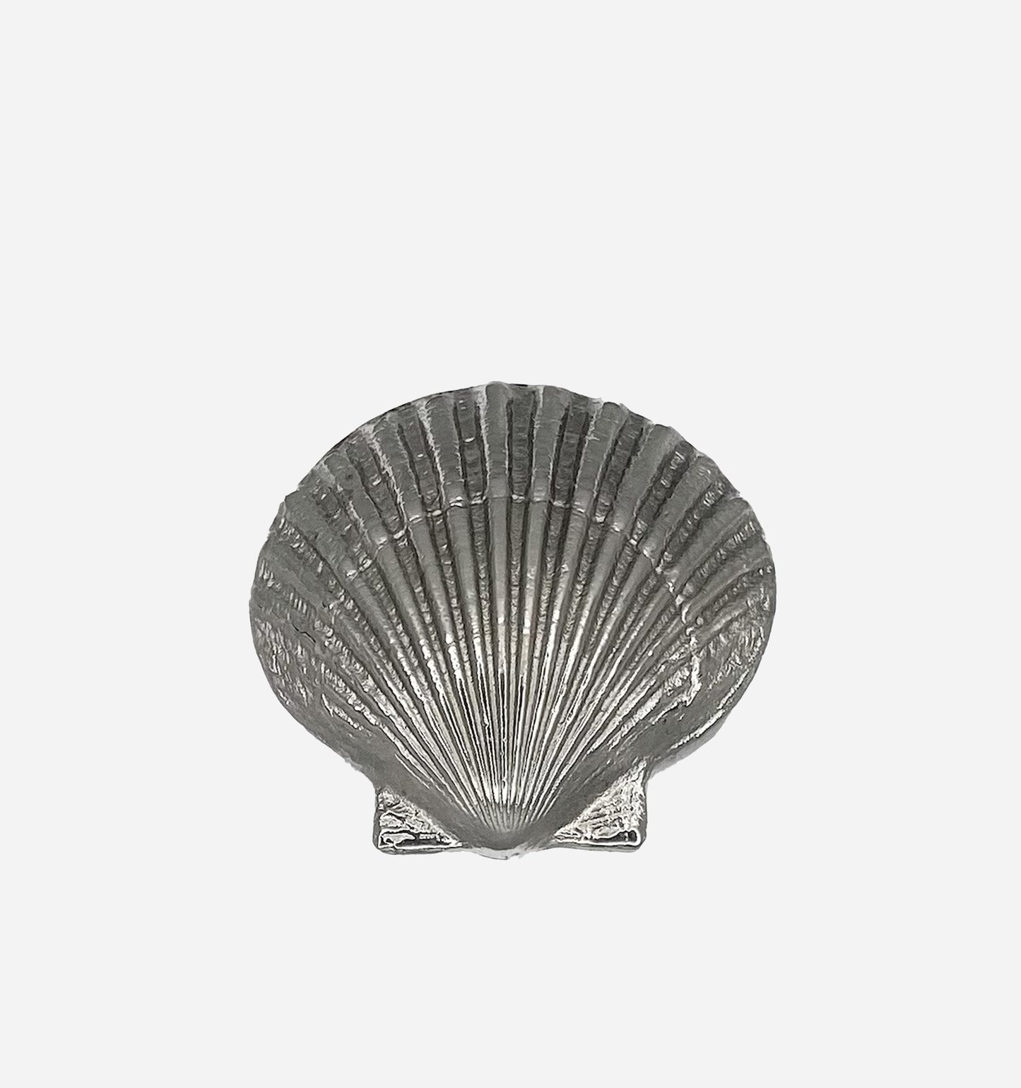 Scallop in Silver