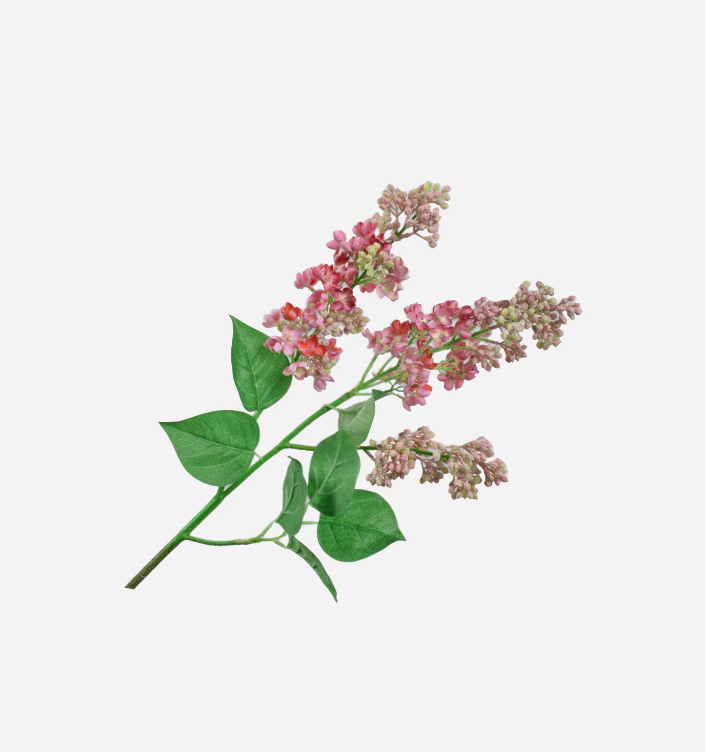 Lilac Spray