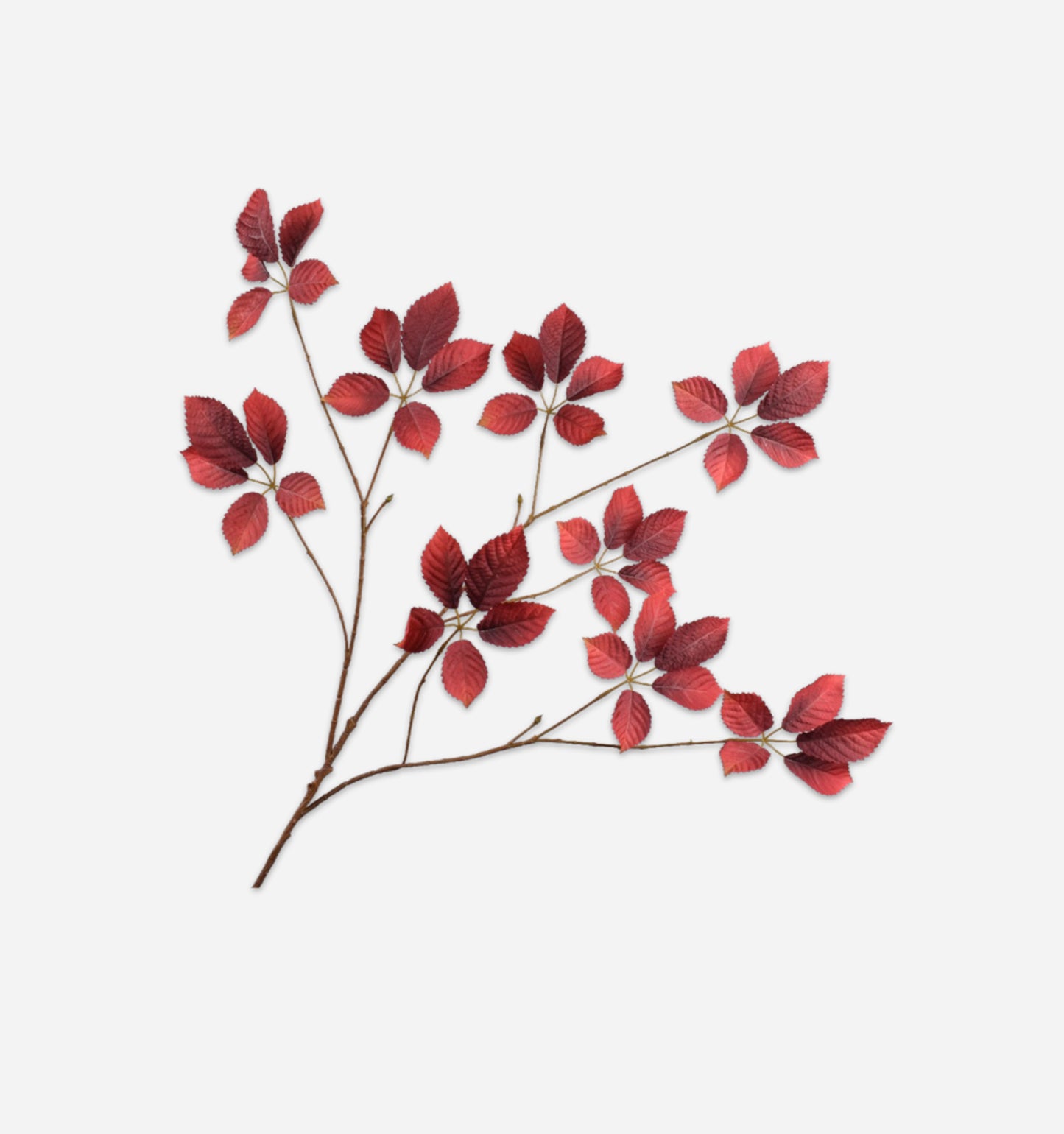 Leaf Spray
