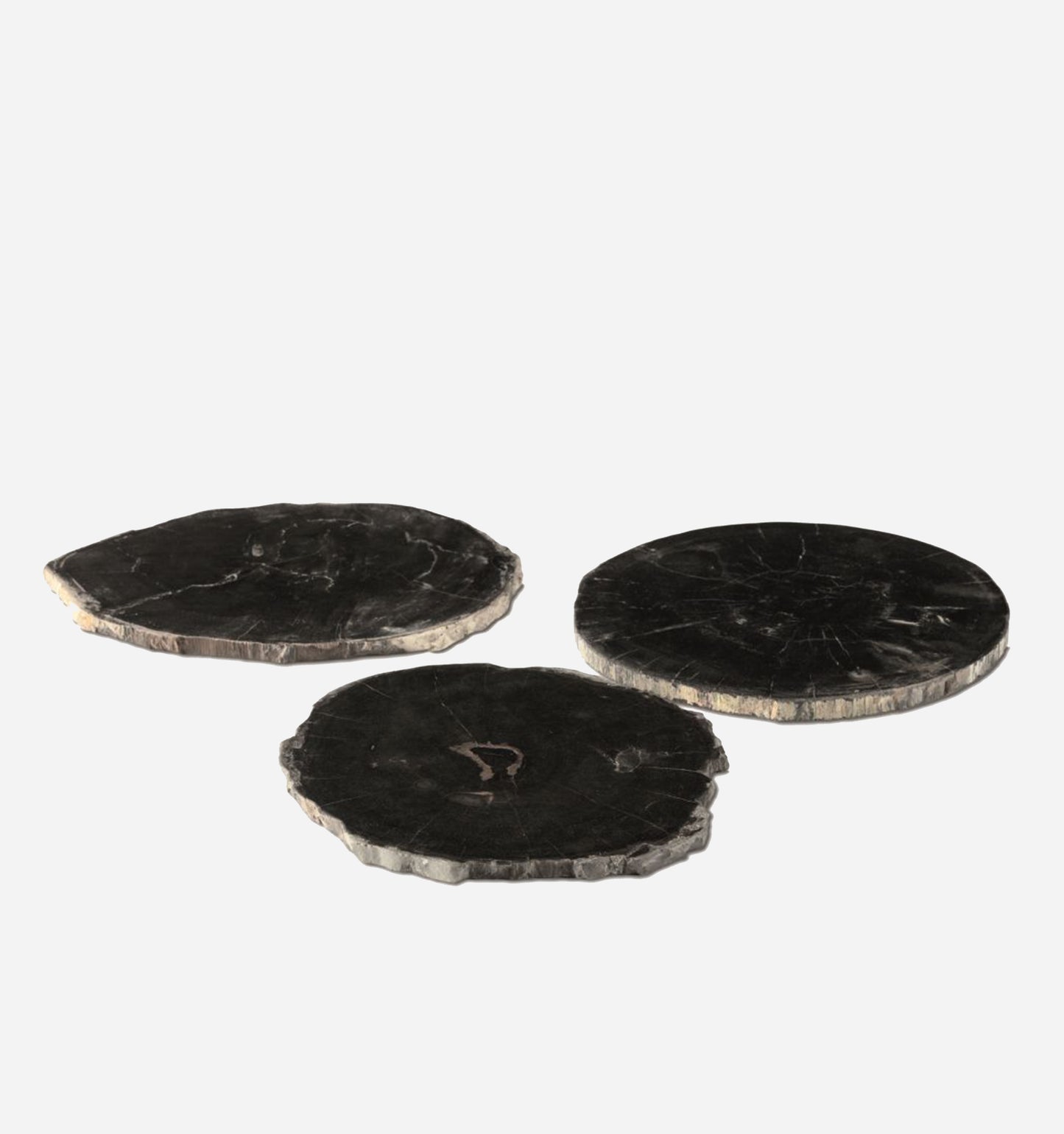 Petrified Wood Plate in Anthracite