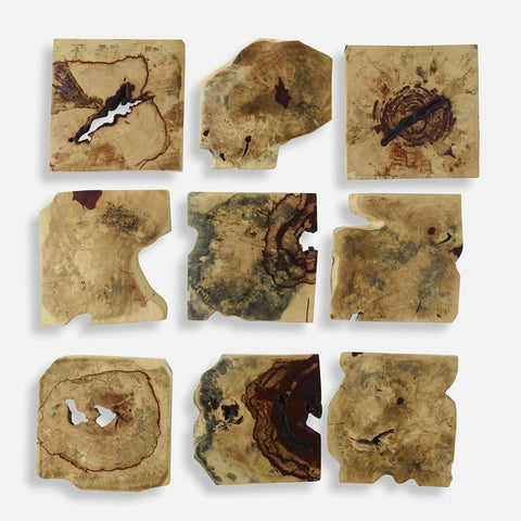 Uttermost Bahati Wood Wall Decor Organic Free Form Wall Sculpture - Set of 9