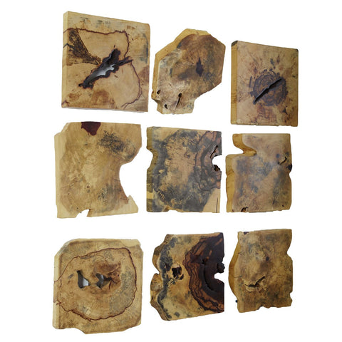 Uttermost Bahati Wood Wall Decor Organic Free Form Wall Sculpture - Set of 9