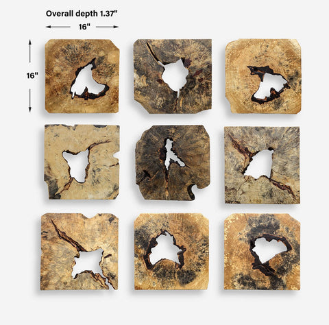 Uttermost Bahati Wood Wall Decor Organic Free Form Wall Sculpture - Set of 9