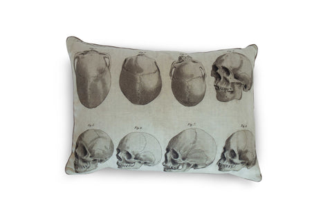 Powered by People Modern Classic Skull Figures Graphic Accent Throw Pillow - 14 x 20