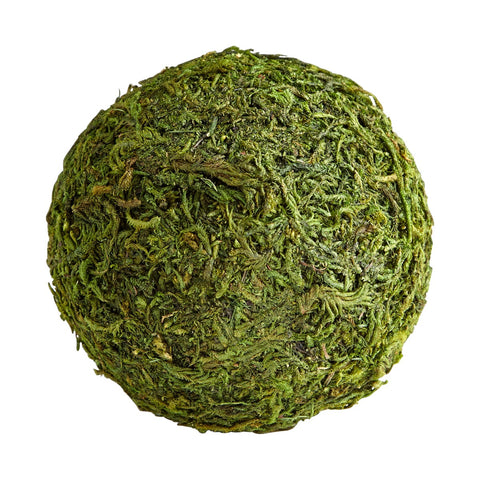 Cyan Design Moss Centerpiece for Contemporary Indoor Decorating