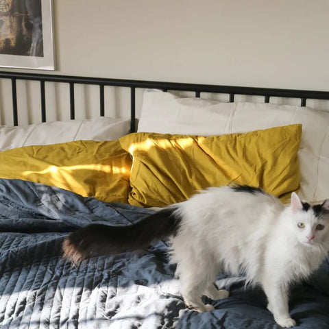 Minimalist Stitched Solid Coverlet