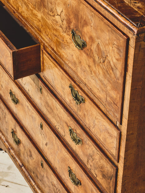 Walnut Burl Chest