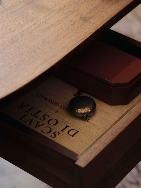 Nature-Driven Modernist Organic Curved Wood Desk