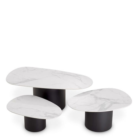 Eichholtz Timeless Minimalist Freeform Coffee Table in Modern Style