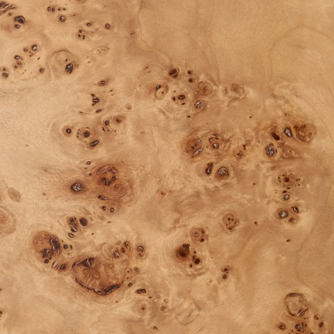 Quinton Mid Century Modern Bookshelf