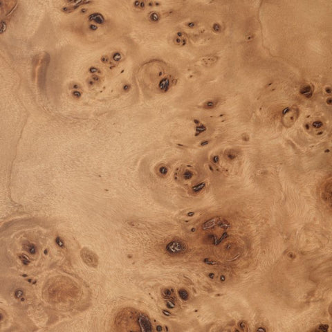 Quinton Mid Century Modern Bookshelf