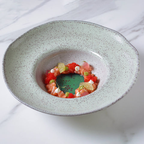 Porto Brasil Everyday Organic Coupe Stoneware Plate Set - Set of 4