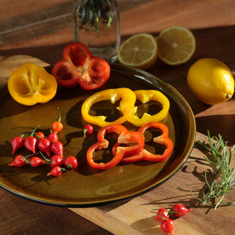 Everyday Organic Handmade Glazed Plate Set