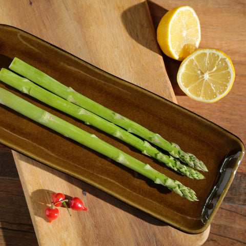 Porto Brasil Modern Hand Finished Stoneware Serving Platter - Set of 4