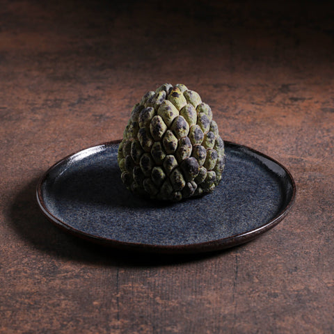 Porto Brasil Everyday Modern Stoneware Plate Set with Glazed Finish - Set of 6