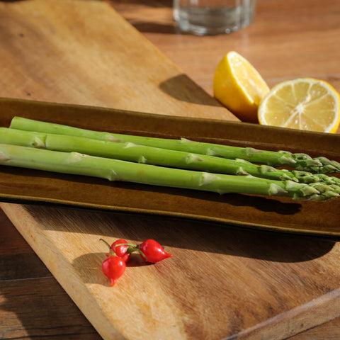 Porto Brasil Organic Hand Finished Glazed Stoneware Serving Platter - Set of 4