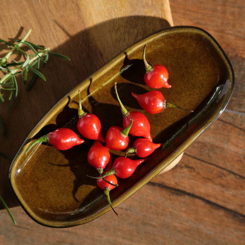 Porto Brasil Organic Hand Finished Stoneware Serving Platter - Set of 4