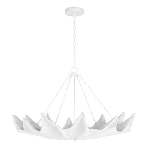 Clam Accent Coastal Candelabra Chandelier Ceiling Light