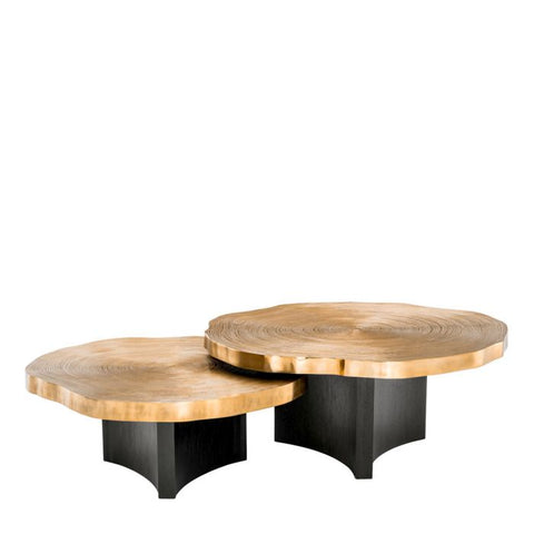 Eichholtz Timeless Minimalist Organic Freeform Coffee Table