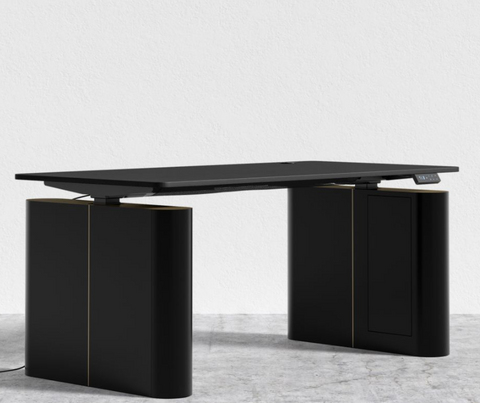 Rove Concepts Eryk Timeless Minimalist Modern Standing Desk