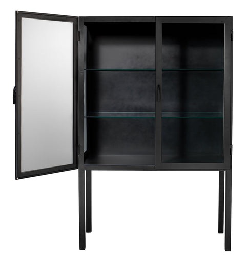 Chauncey Minimalist Display Cabinet with Matte Finish