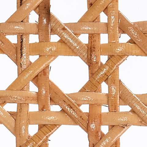 Nature-Driven Modernist Orchid Bohemian Barrel Lounge Chair