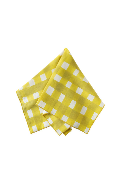 Powered by People Tabletop Essentials Cross Hatch Gingham Dinner Napkin - Set of 4