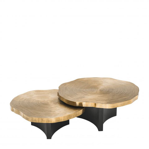 Eichholtz Timeless Minimalist Organic Freeform Coffee Table