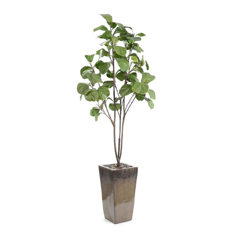 John-Richard Contemporary Fig Centerpiece for Indoor Decorating