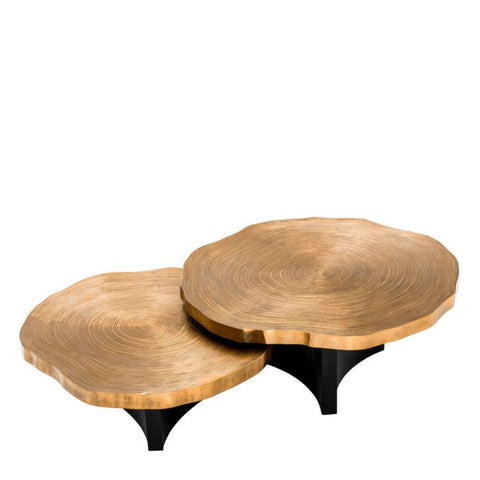 Eichholtz Timeless Minimalist Organic Freeform Coffee Table