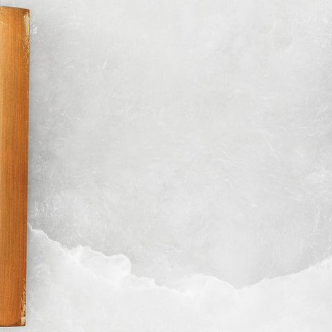 Delphi Accent Modern Sleek Sconce Wall Light