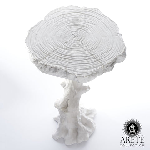 Timeless Minimalist Organic Freeform Center Accent Table