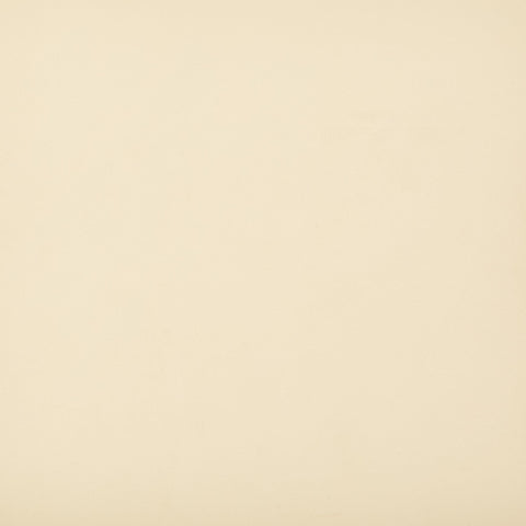 Timeless Minimalist Modern Upholstered Accent Bench