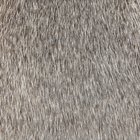 Metro Modern Accent Cabinet with Knob Handle