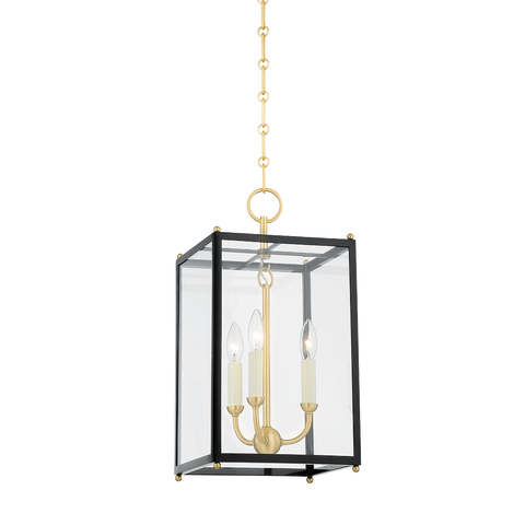 Chaselton Lantern Traditional Pendant Light with Adjustable Height