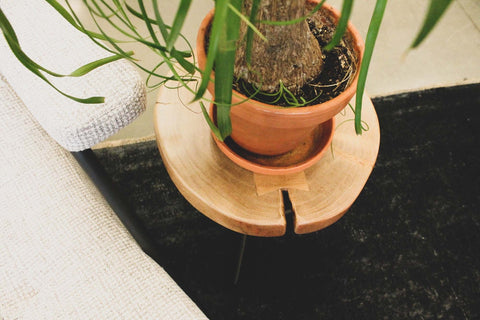 LH Imports Timeless Minimalist Organic Freeform Center Table