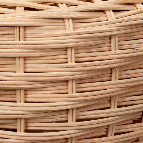 Portobello Ambient Mushroom Coastal Table Lamp