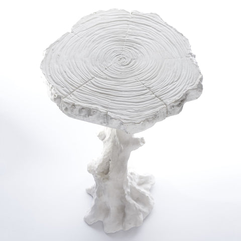 Timeless Minimalist Organic Freeform Center Accent Table