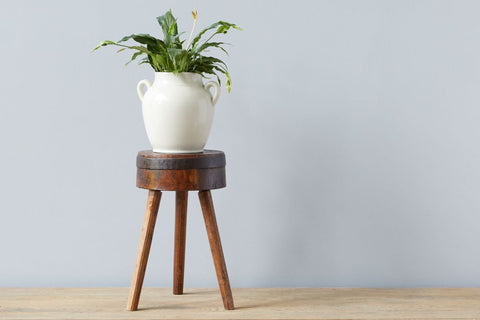 Timeless Minimalist Rustic Accent Stool with Tapered Legs
