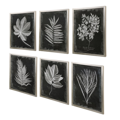 Foliage Framed Prints in Silver Standard Picture Frame Wall Art