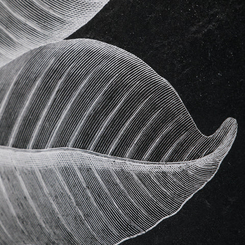 Foliage Framed Prints in Silver Standard Picture Frame Wall Art