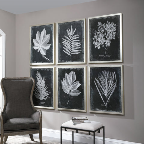 Foliage Framed Prints in Silver Standard Picture Frame Wall Art