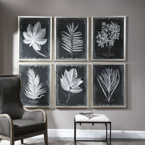 Foliage Framed Prints in Silver Standard Picture Frame Wall Art