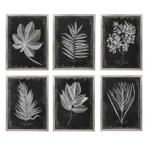 Foliage Framed Prints in Silver Standard Picture Frame Wall Art