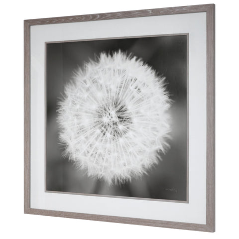 Dandelion Seedhead Framed Print Square Wall Art with Matte Finish